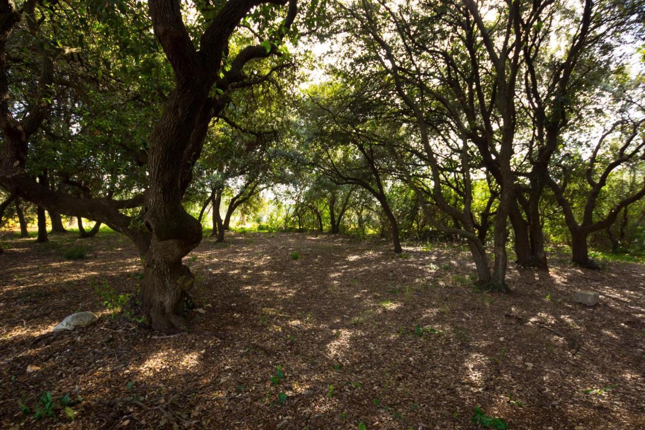 קונברסאנו Masseria Poli Country House מראה חיצוני תמונה