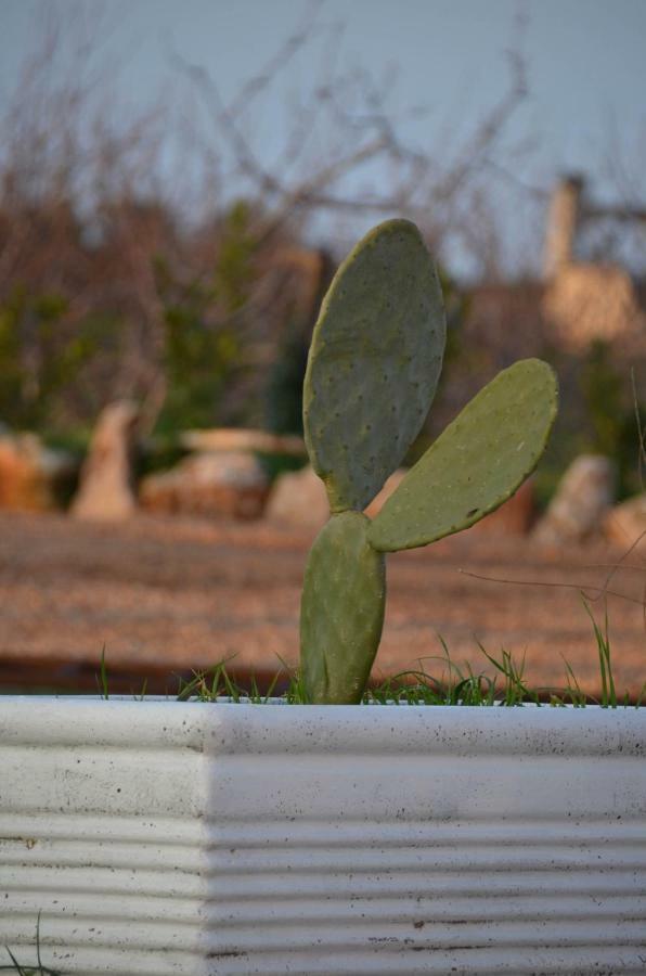 קונברסאנו Masseria Poli Country House מראה חיצוני תמונה